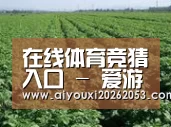 种植基地五