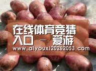 产品展示标题5