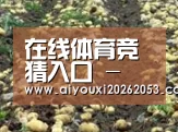 种植基地七