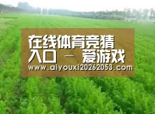 种植基地四