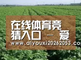 种植基地五(图1)