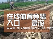 种植基地八