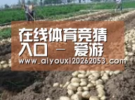 种植基地七(图1)