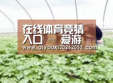 种植基地三