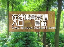 种植基地九