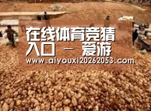 种植基地二