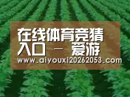 种植基地六(图1)