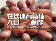 产品展示标题5(图1)