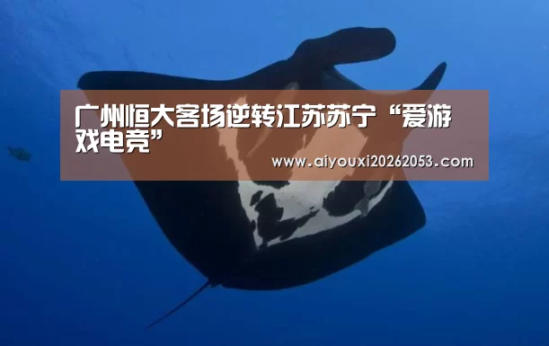 爱游戏体育