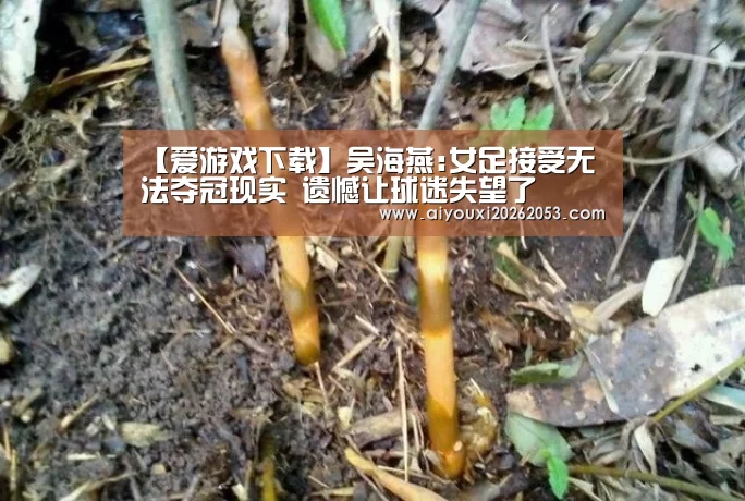 爱游戏体育