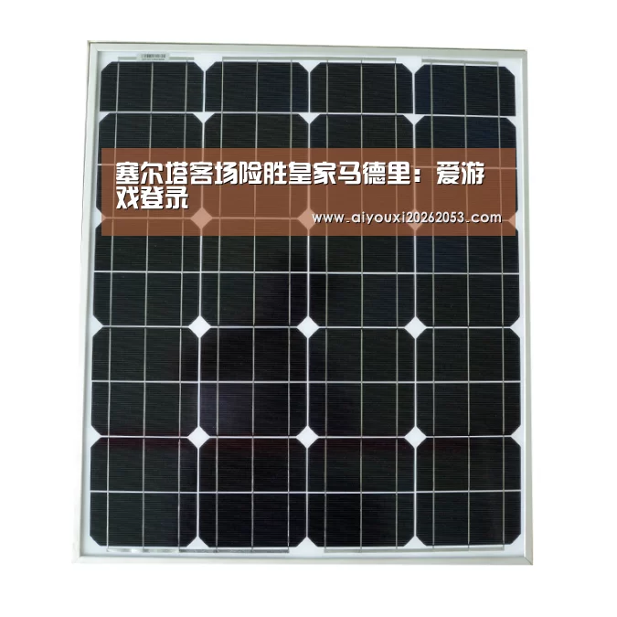 塞尔塔客场险胜皇家马德里:爱游戏登录(图3) 爱游戏登录