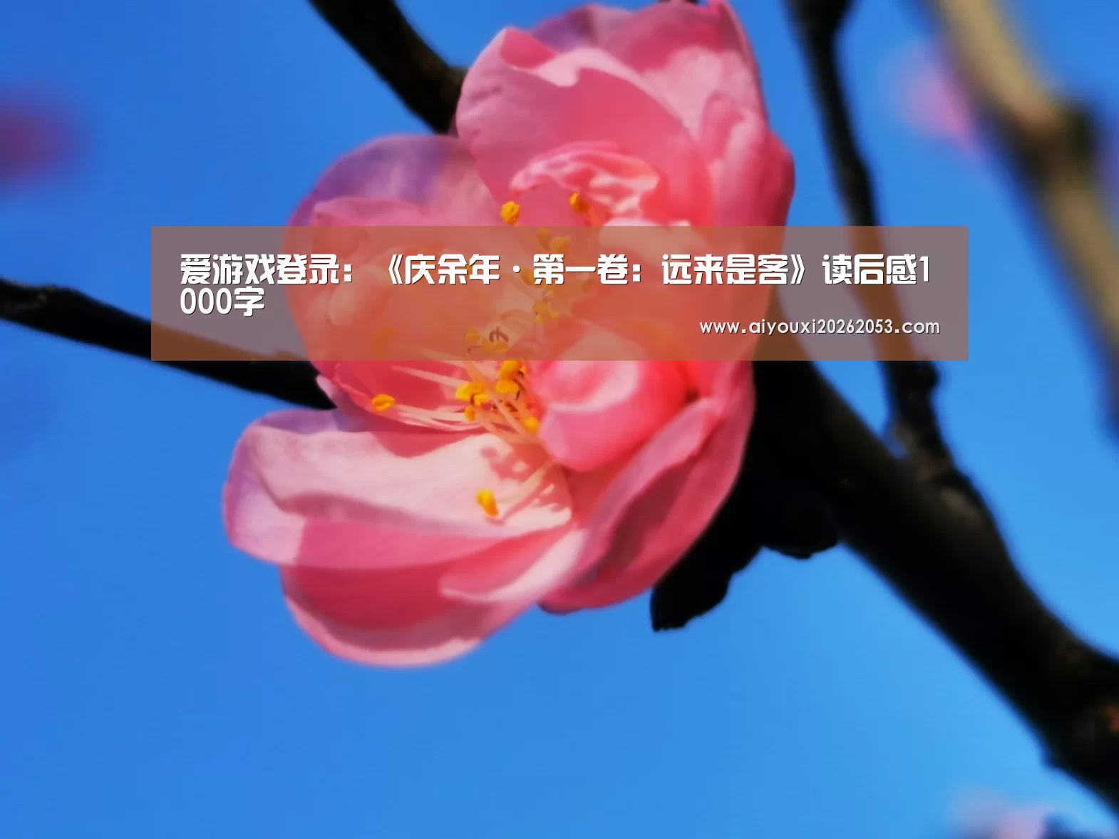 爱游戏登录:《庆余年·第一卷:远来是客》读后感1000字(图1) 爱游戏体育