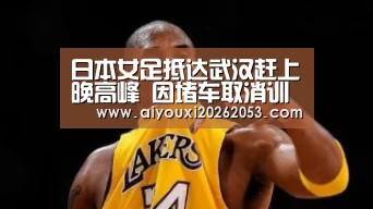 爱游戏登录