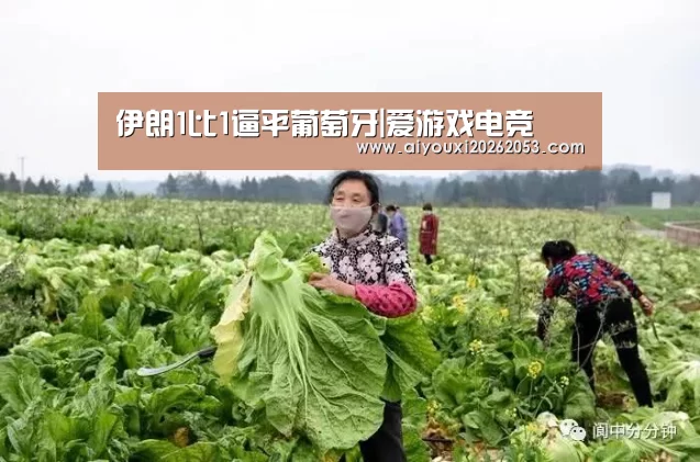 爱游戏体育