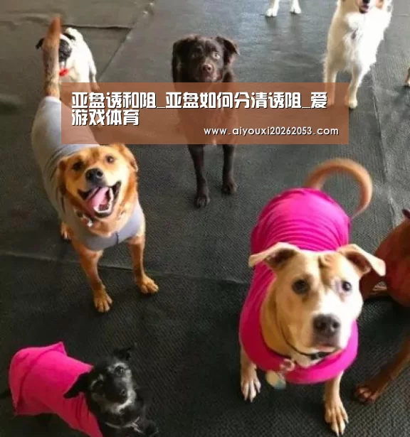 爱游戏电竞