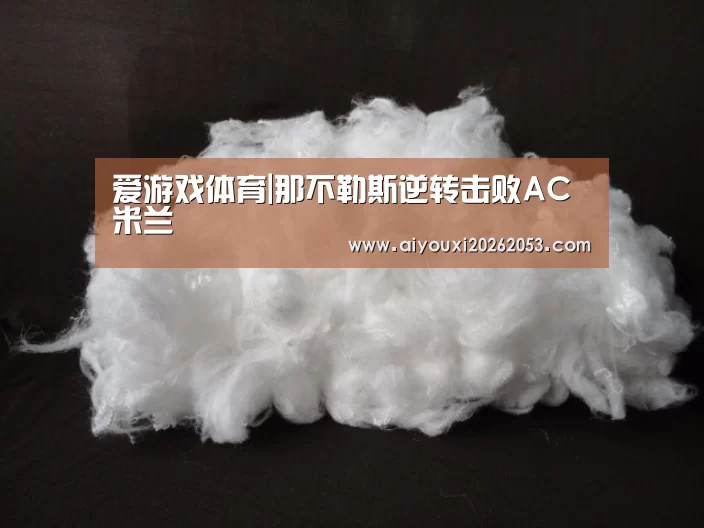 爱游戏体育|那不勒斯逆转击败AC米兰(图2) 爱游戏下载