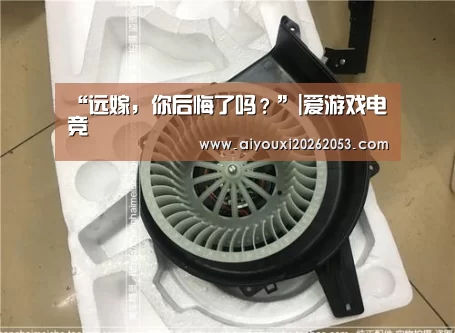 “远嫁,你后悔了吗?”|爱游戏电竞(图2) 爱游戏下载