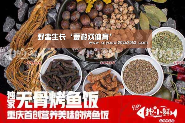 爱游戏体育
